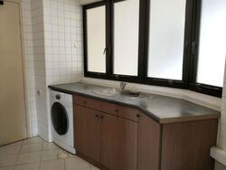 Bayshore Park (D16), Condominium #563779611